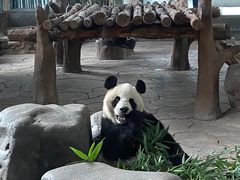 -宁波野生动物园