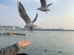 -蠡湖大桥公园