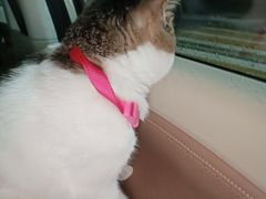 -深圳野生动物园