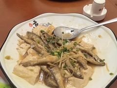 -杨记新泉美食