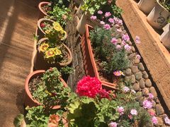 -浔岚云舍mist静谧观景美宿(丽江古城店)