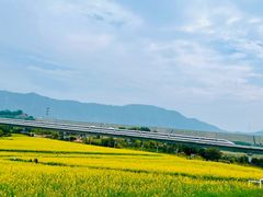 -光明小镇欢乐田园