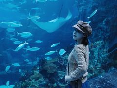 -海合安成都极地海洋公园