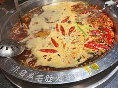 -一斗火锅·招财羊毛肚(泰吉滨江店)