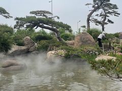 -罗红摄影艺术馆