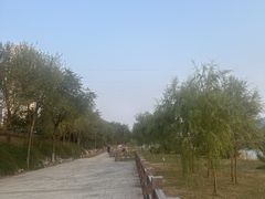 -永定河休闲森林公园