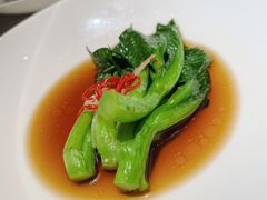 -觀芷隐轩