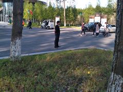 -黄海国家森林公园