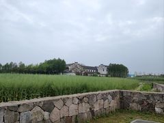 -宁波杭州湾国家湿地公园