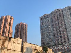 -华林禅寺
