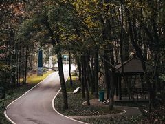 -青龙山国家森林公园
