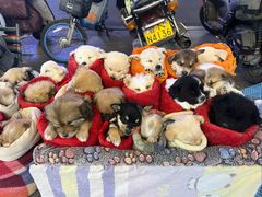 -正宁路小吃夜市