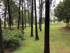 -月湖风景区