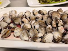 血蛤-华盛丰温州大排档(东三环南路店)