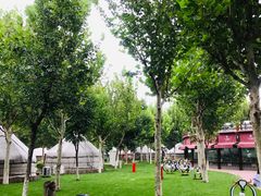 -九十九顶毡房(阜石路店)