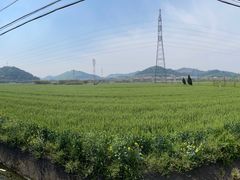 -李东农庄(中南百草园地标店)