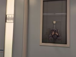 -杭州贝瑞斯美华妇儿医院·早孕·产检·儿科