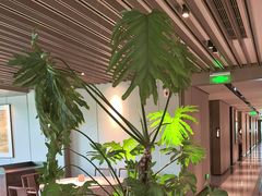 -上味·小海小鲜(中联店)