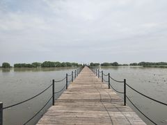 -洪湖生态旅游区