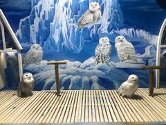 -成都浩海立方海洋公园