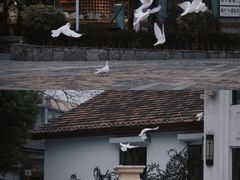 -莫干山风景区