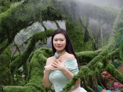 -洛阳白云山景区