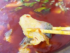 -重庆特色冷锅鱼(武大店)