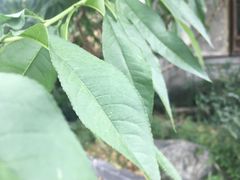 -乌镇望津里精品酒店