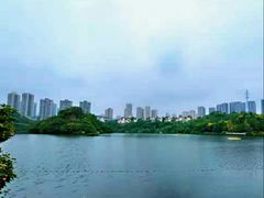 -重庆彩云湖湿地公园