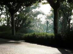 -上海山野camping·户外天幕烧烤·团建拓展营地