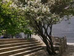 -西宁市东关清真大寺