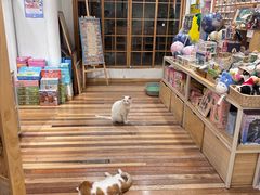-猫的天空之城概念书店(苏州平江店)