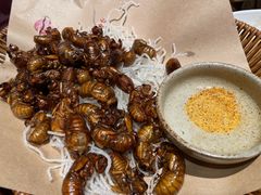 -鸽子窝(青塔店)