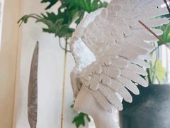 -蝶舍·MAISON PAPILLON