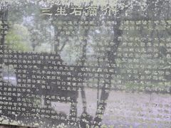 -杭州西湖风景名胜区-三生石