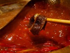 -小龙坎火锅(春熙太古里店)