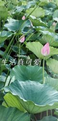 -宝馨月月子中心(友谊医院店)