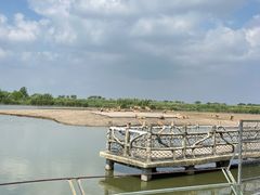 -宁波杭州湾国家湿地公园