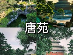 -大唐不夜城
