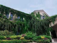 -府河摄影公园