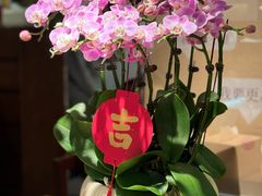 -彬媽糖水(侨鑫国际店)