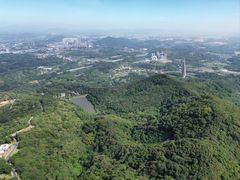 -黄埔油麻山森林公园