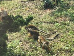 -大连森林动物园