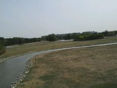 -北京麋鹿生态实验中心