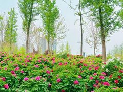 -郑州植物园