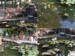 -辽宁大学(崇山校区)