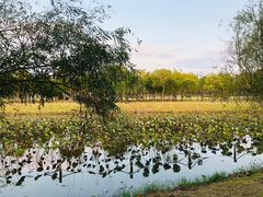 -上海海事大学(临港校区)