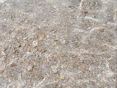 -三亚蜈支洲岛旅游区
