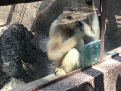 -昆明动物园
