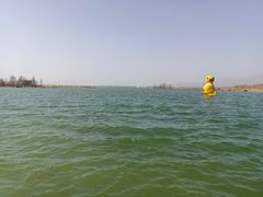 -野鸭湖国家湿地公园